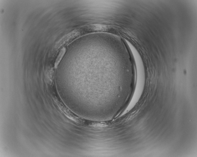 X0000052930325200507221128