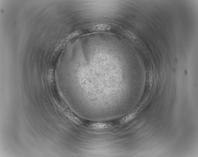 X0000052930326200507221128