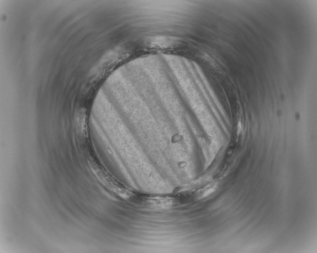 X0000052930328200507221128