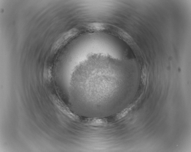 X0000052930330200507221128