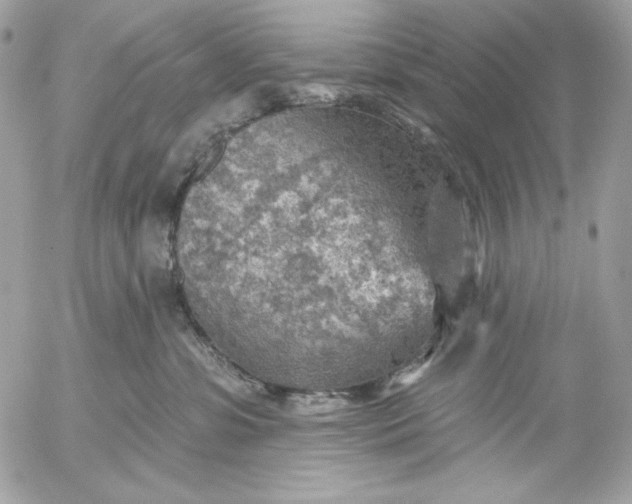 X0000052930331200507221128