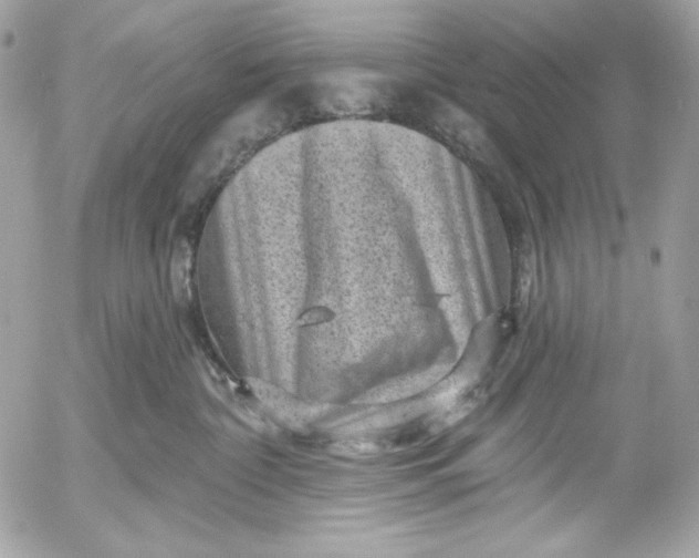 X0000052930332200507221128