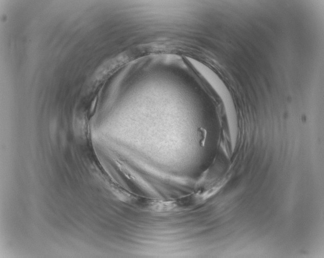 X0000052930333200507221128