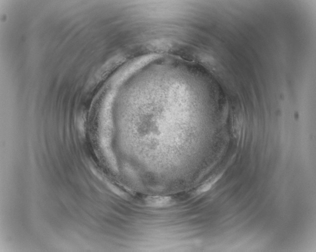 X0000052930334200507221128