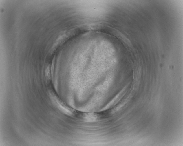 X0000052930336200507221128