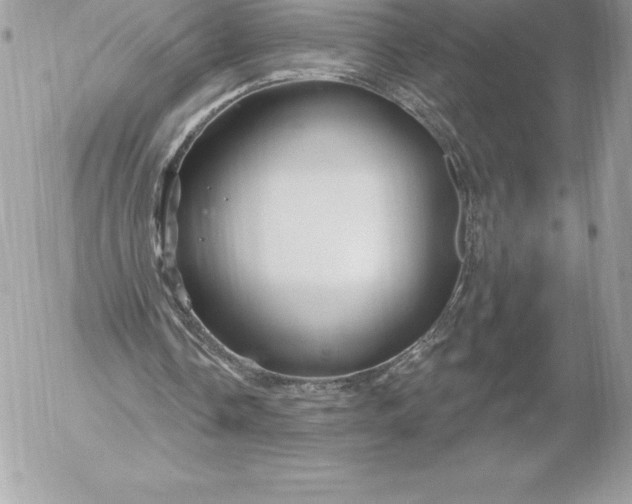 X0000052930338200507221127