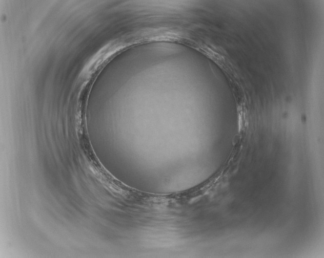 X0000052930339200507221127