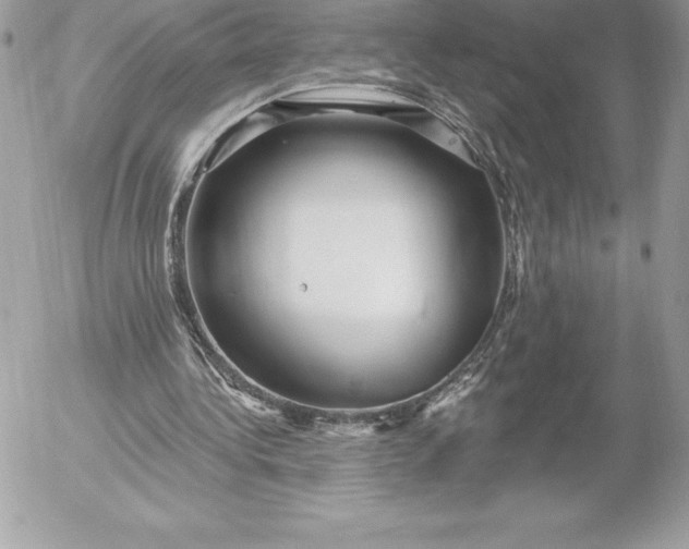 X0000052930340200507221127