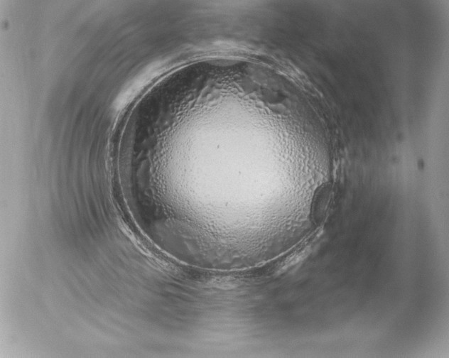 X0000052930341200507221127