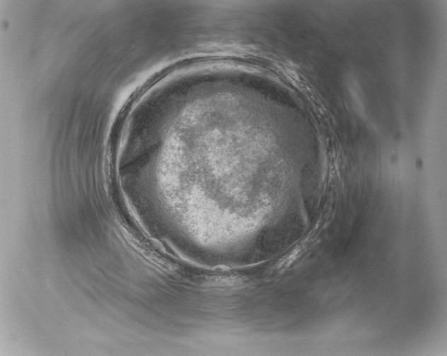 X0000052930342200507221127