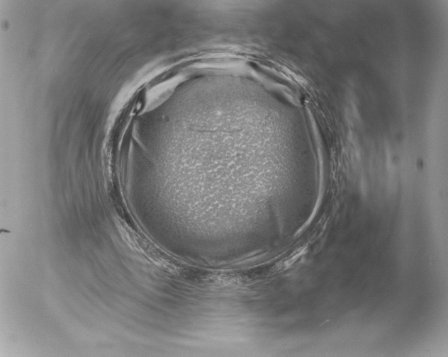 X0000052930343200507221127