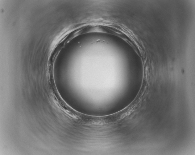 X0000052930344200507221127