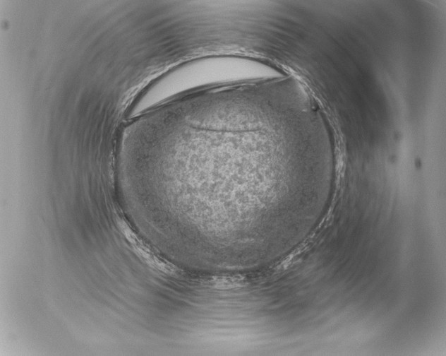 X0000052930345200507221127