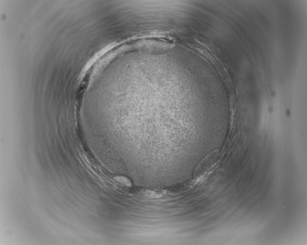 X0000052930346200507221127