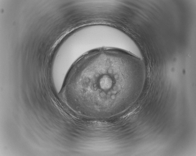 X0000052930347200507221127