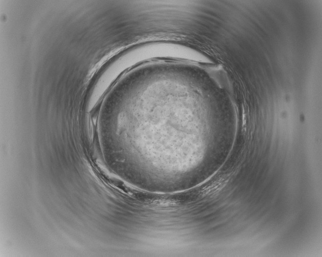 X0000052930348200507221127