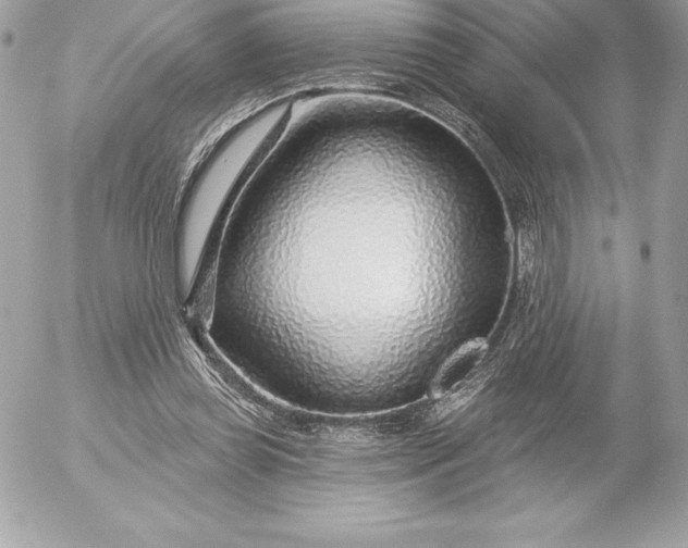 X0000052930349200507221127