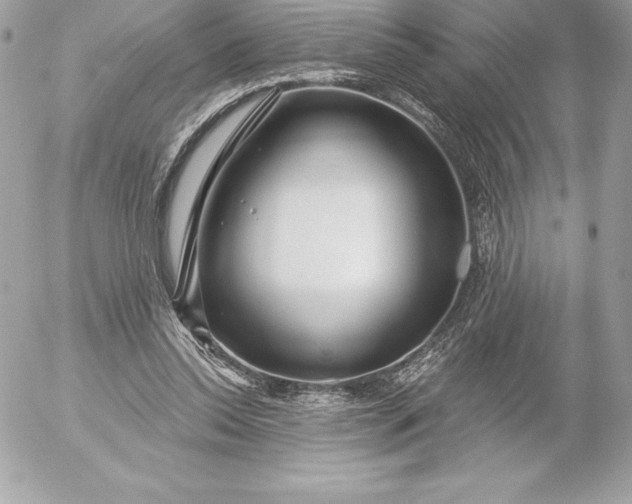 X0000052930350200507221127