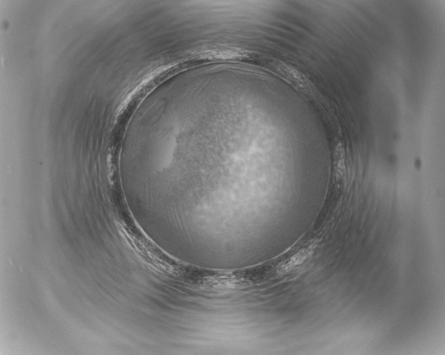 X0000052930351200507221127