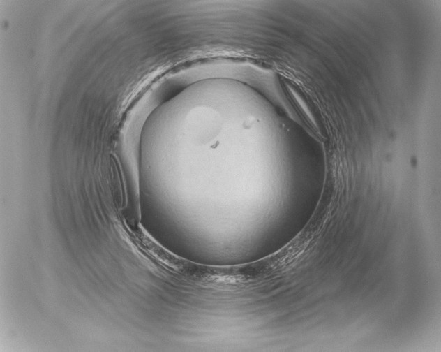 X0000052930352200507221127