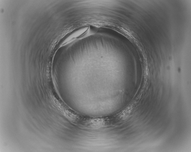 X0000052930353200507221127