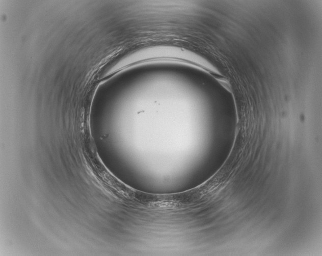 X0000052930356200507221127