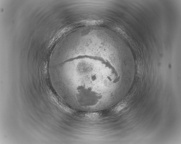 X0000052930357200507221127