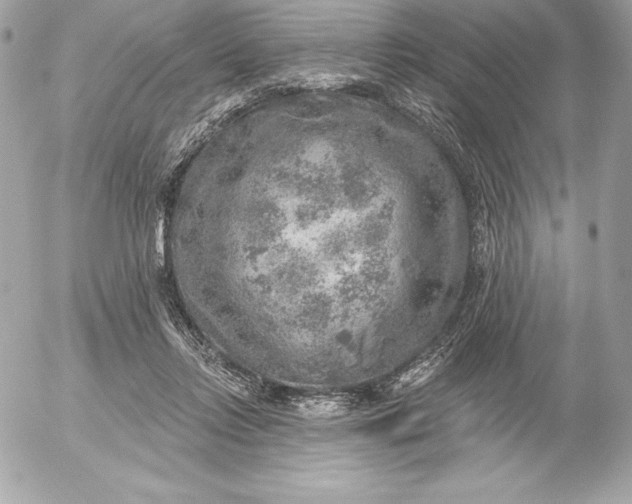 X0000052930358200507221127