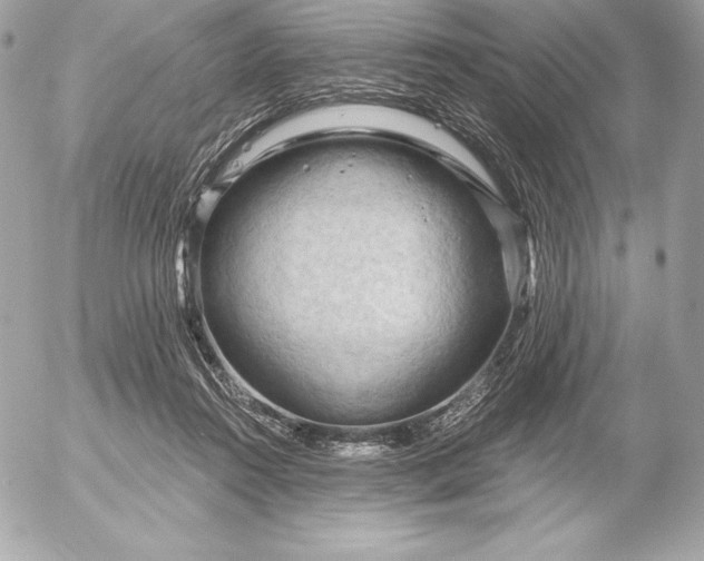 X0000052930360200507221127