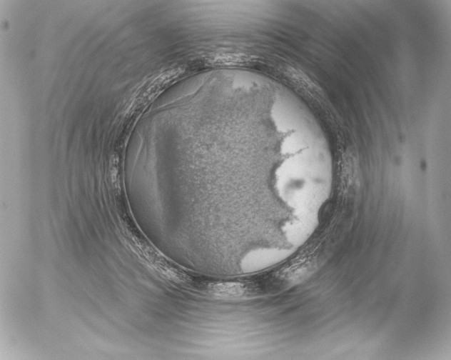 X0000052930361200507221127