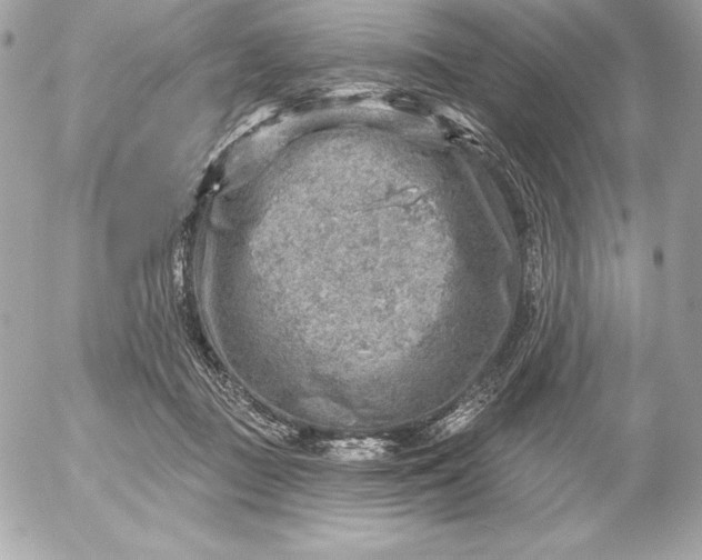 X0000052930363200507221127