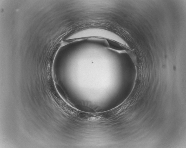 X0000052930364200507221127