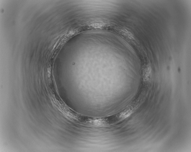 X0000052930365200507221127