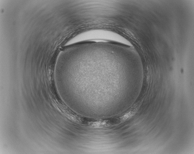 X0000052930366200507221127