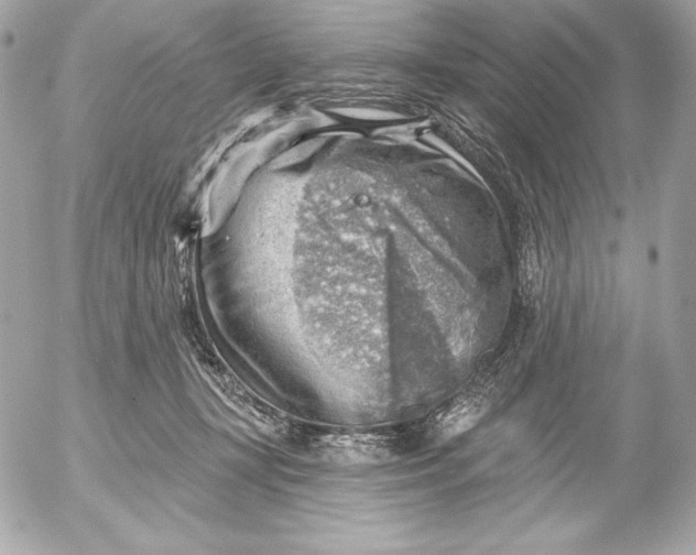 X0000052930367200507221127