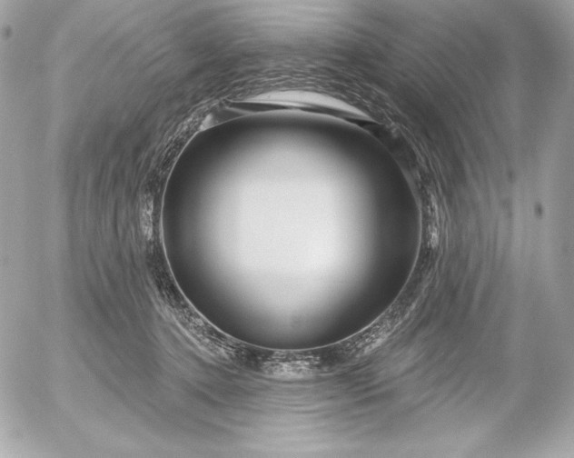 X0000052930368200507221127