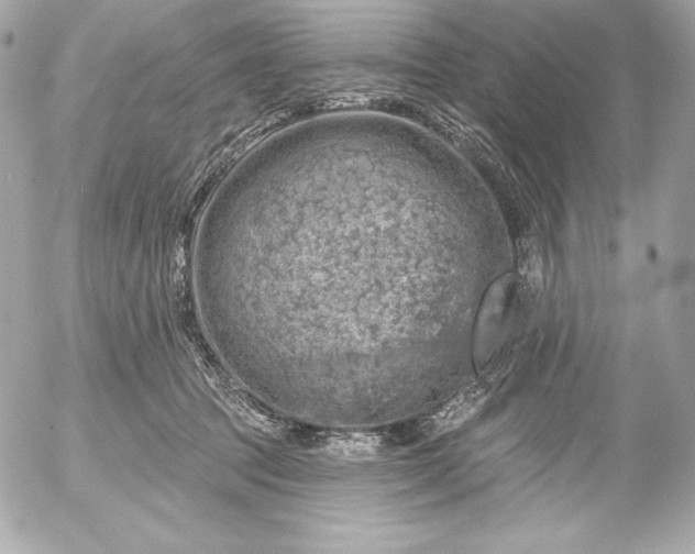 X0000052930369200507221127