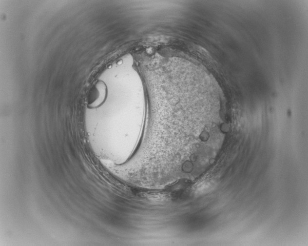 X0000052930370200507221127