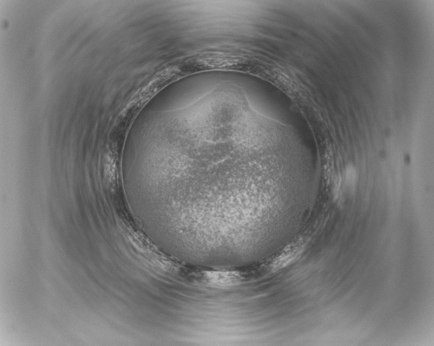 X0000052930371200507221127