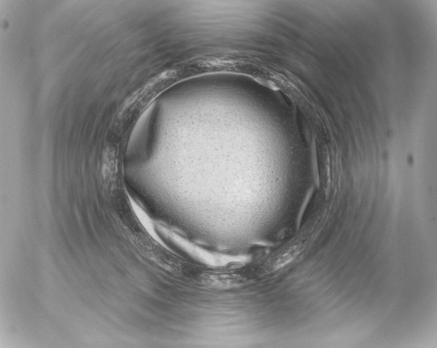 X0000052930372200507221127