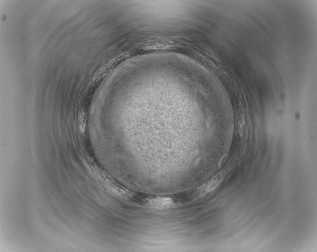 X0000052930374200507221127