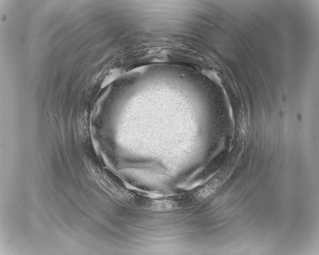 X0000052930376200507221127