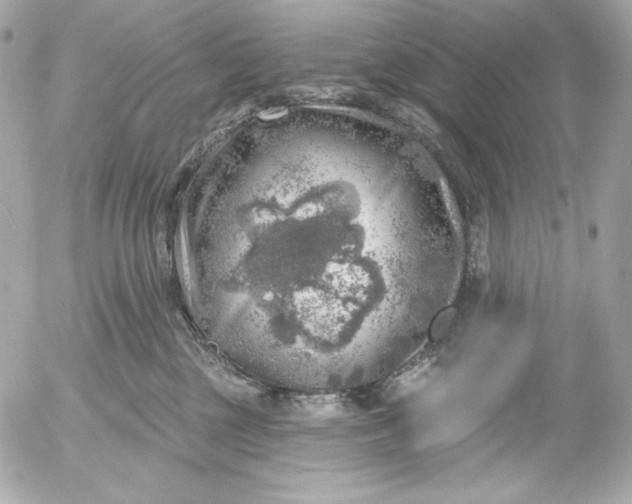 X0000052930377200507221127