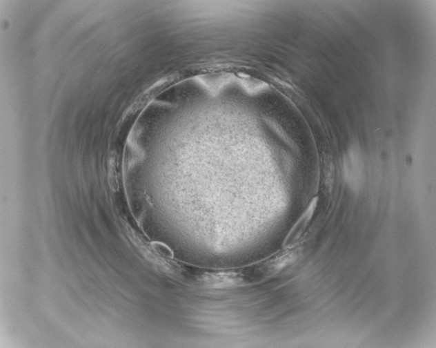 X0000052930378200507221127