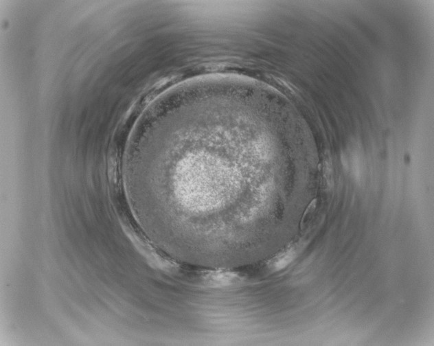 X0000052930379200507221127