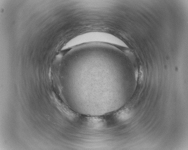 X0000052930380200507221127