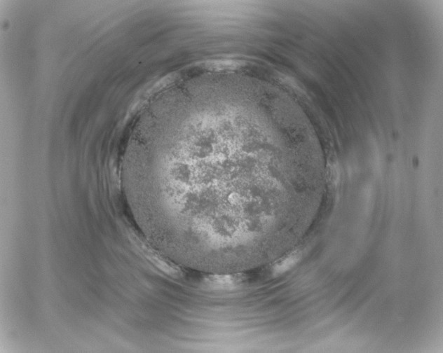 X0000052930381200507221127