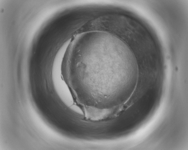 X0000052930382200507221128