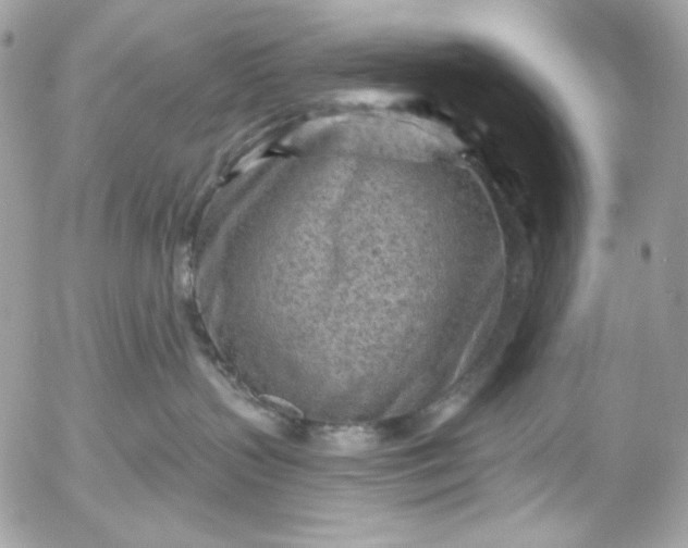 X0000052930383200507221128