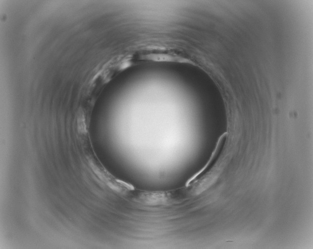 X0000052930384200507221128